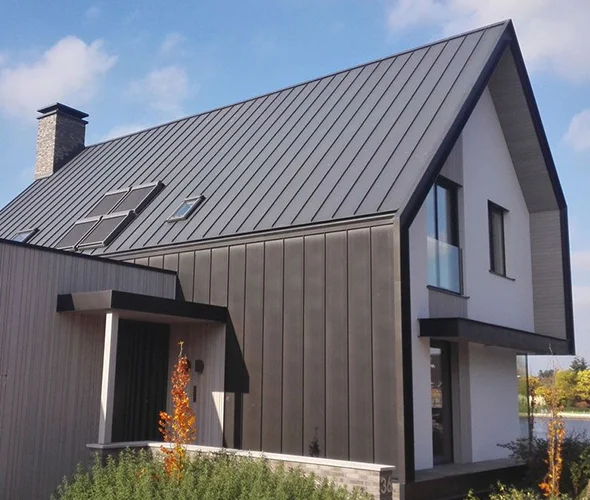 Tailored Solutions for Varied Roof Types